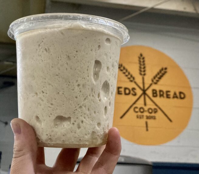 a tub of pizza dough held up in fron of the Leeds Bread Co-op logo.